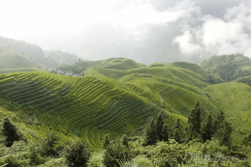 Fotka, Foto Longsheng - rýžové terasy (Čína)