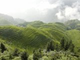 Longsheng - rýžové terasy
