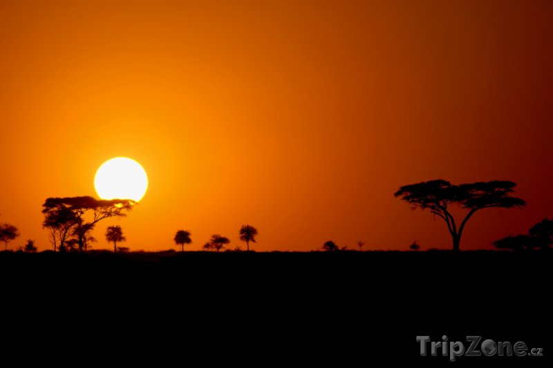 Fotka, Foto Národní park Serengeti při západu Slunce (Tanzanie)