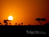Národní park Serengeti při západu Slunce