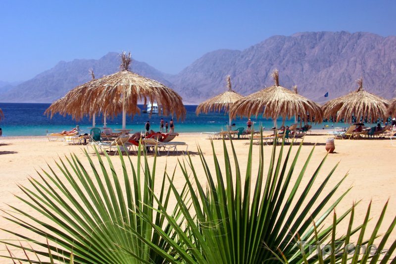 Fotka, Foto Nuweiba, pláž (Sinaj, Egypt)