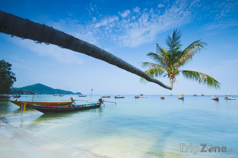 Fotka, Foto Ostrov Ko Tao - tropický ráj (Thajsko)