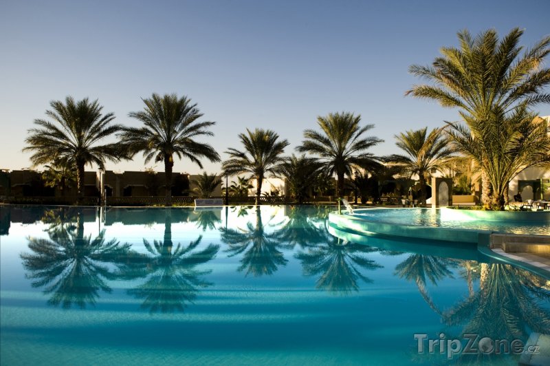 Fotka, Foto Palmy u hotelového bazénu (Tunisko)