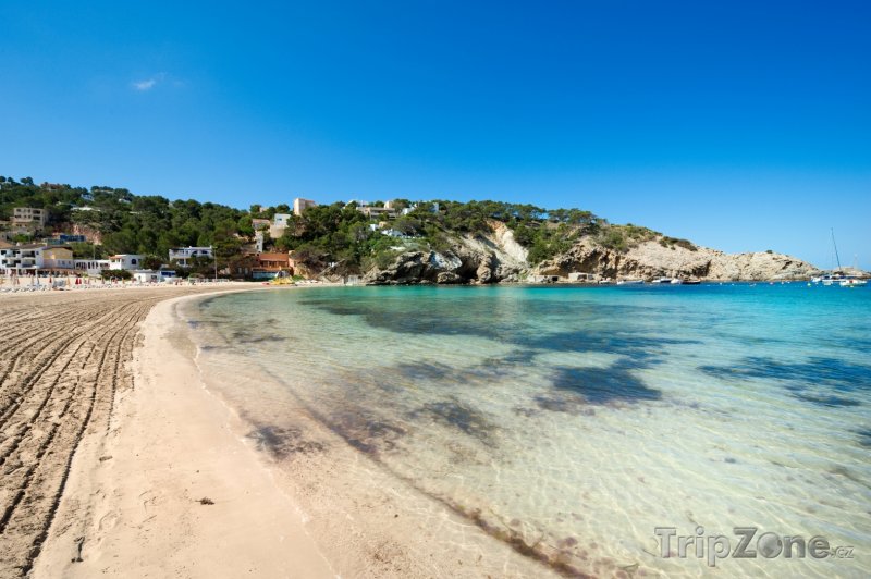 Fotka, Foto Pláž Cala Vadella na Ibize (Ibiza, Španělsko)