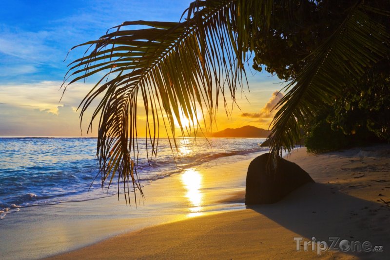 Fotka, Foto Pláž s palmami před západem slunce (Seychely)