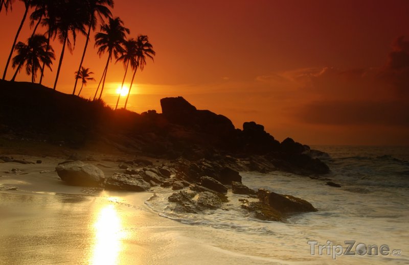 Fotka, Foto Pláž v západu slunce (Srí Lanka)