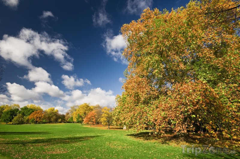 Fotka, Foto Podzim v Hyde Parku (Londýn, Velká Británie)