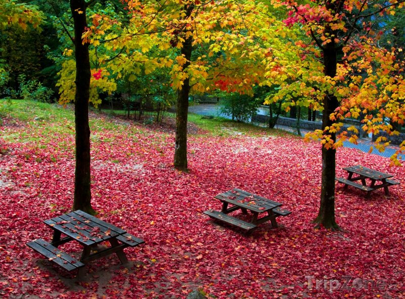 Fotka, Foto Podzim v Národním parku Peneda-Gerês (Portugalsko)