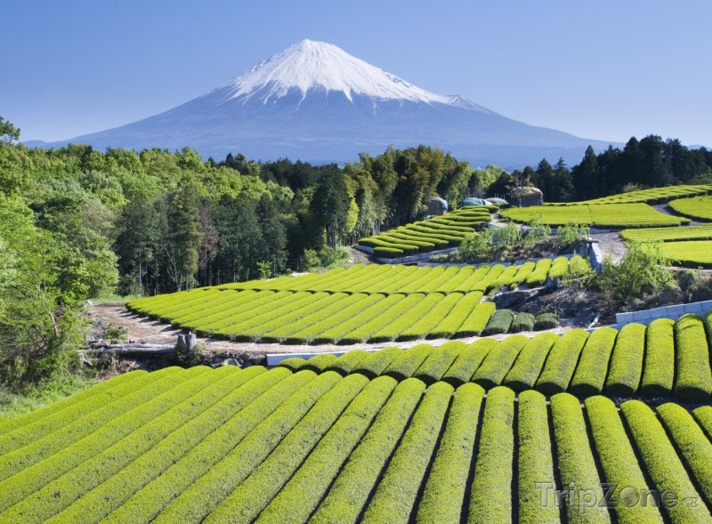 Fotka, Foto Pohled na horu Fudži (Japonsko)