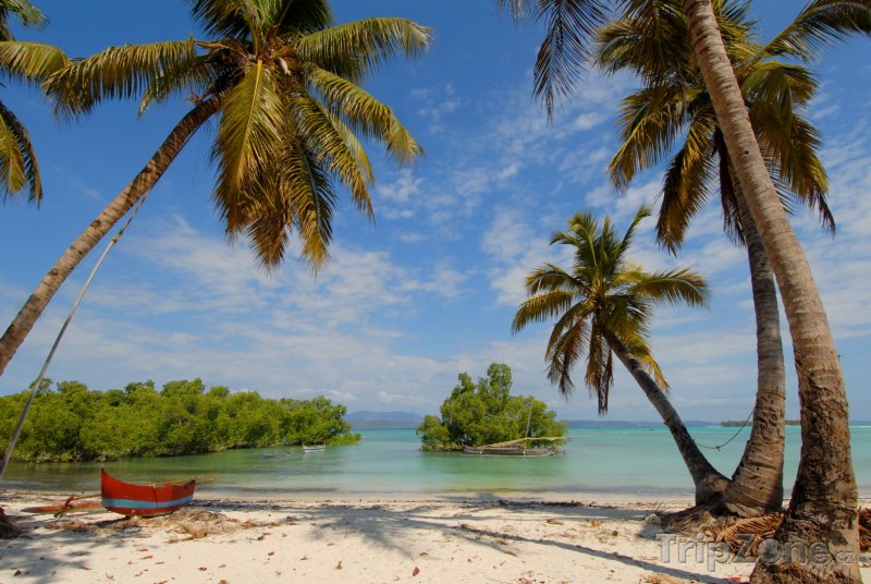 Fotka, Foto Pohodová pláž s palmami (Madagaskar)