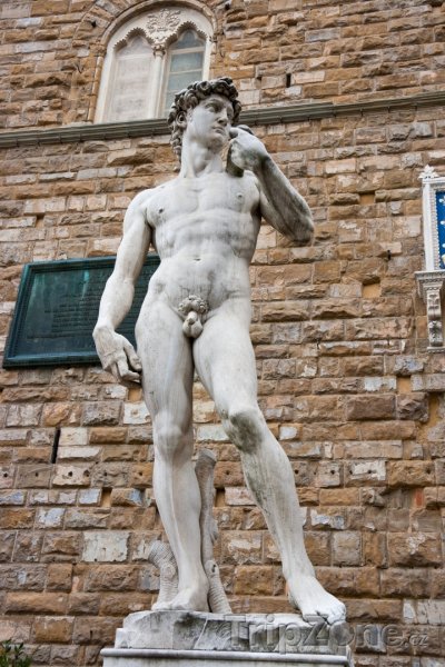 Fotka, Foto Replika Michelangelova Davida (Florencie, Itálie)