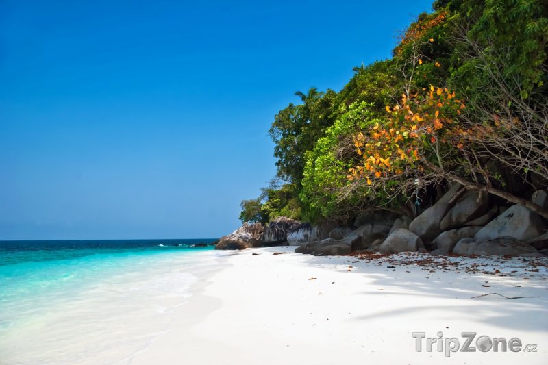 Fotka, Foto Romantická pláž na ostrůvku Tulai (Malajsie)