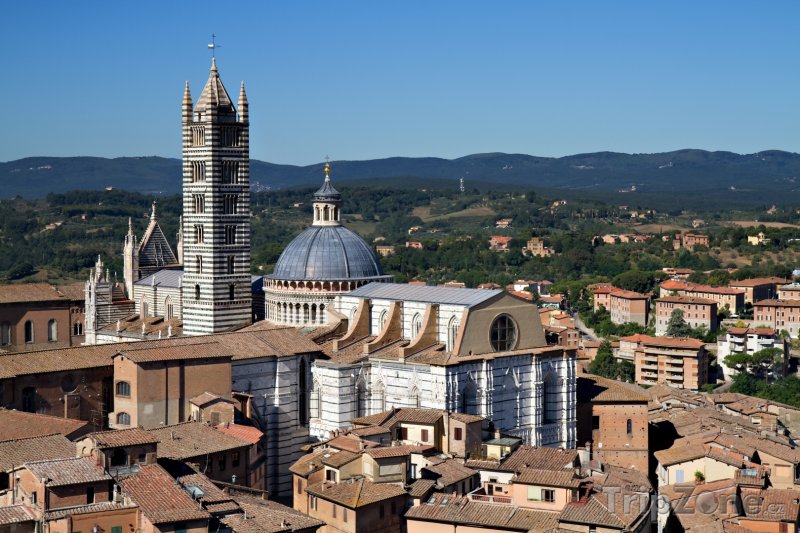 Fotka, Foto Siena, pohled na katedrálu (Itálie)