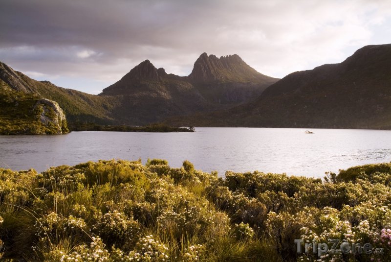 Fotka, Foto Tasmánie - Cradle Mountain (Austrálie)