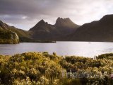 Tasmánie - Cradle Mountain
