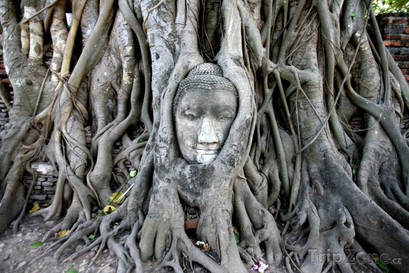 Fotka, Foto Tvář Budhy v památném městě Ayutthaya (Thajsko)