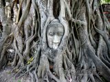 Tvář Budhy v památném městě Ayutthaya