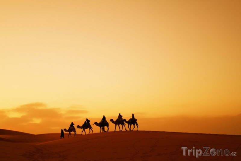Fotka, Foto Velbloudi na dunách Sahary (Maroko)