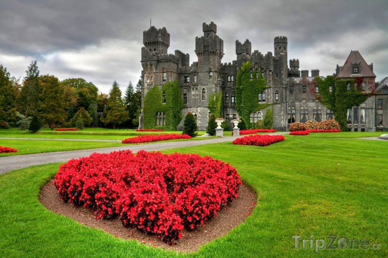 Fotka, Foto Zahrady hradu Ashford v hrabství Galway (Irsko)