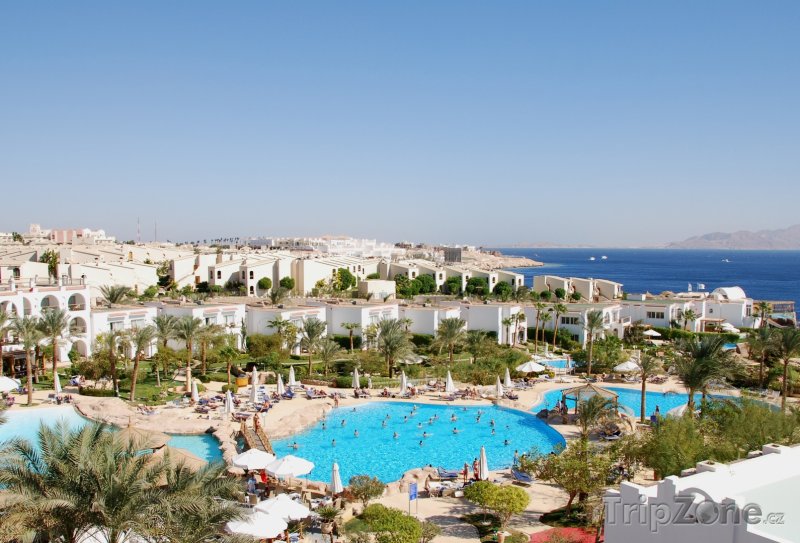 Fotka, Foto Bazény u hotelových komplexů (Sharm El Sheikh, Egypt)