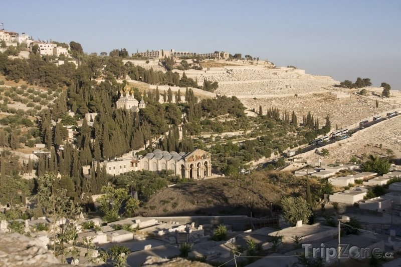 Fotka, Foto Jeruzalém - Olivová hora (Izrael)