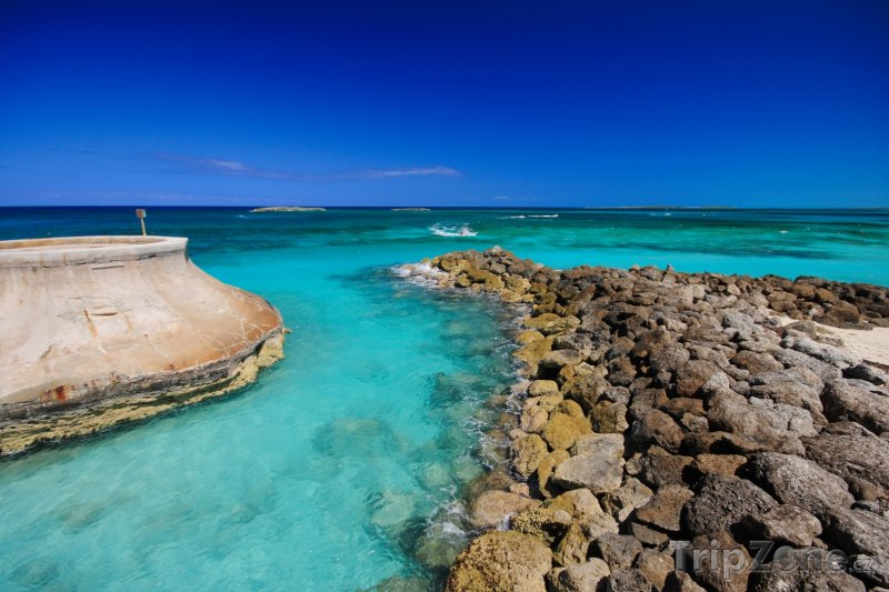 Fotka, Foto Kamenné pobřeží u Paradise Island (Bahamy)