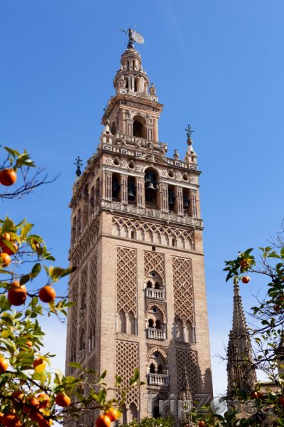 Fotka, Foto Katedrála v Seville (Sevilla, Španělsko)