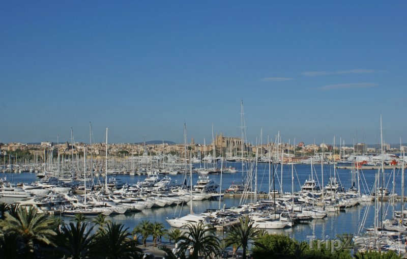 Fotka, Foto Lodě v přístavu (Palma de Mallorca, Španělsko)