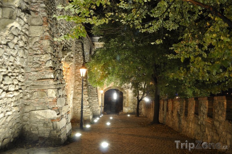 Fotka, Foto Osvětlené zdi bratislavského hradu (Bratislava, Slovensko)