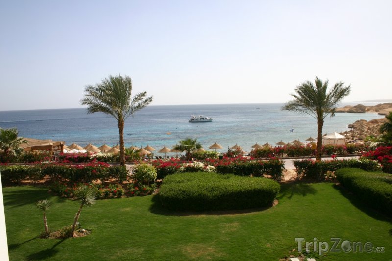 Fotka, Foto Palmy na zahradě hotelového resortu (Sharm El Sheikh, Egypt)