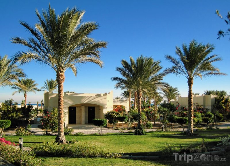 Fotka, Foto Palmy okolo turistických bungalovů (Hurghada, Egypt)