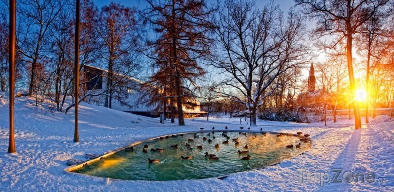 Fotka, Foto Park v zimě (Helsinky, Finsko)