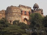 Pevnost Purana Qila