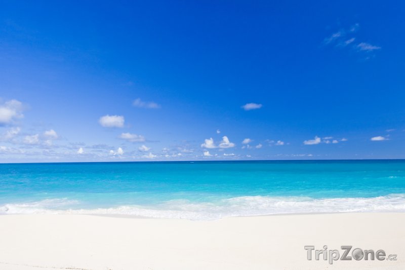 Fotka, Foto Pláž ve Foul Bay v oblasti Saint Philip (Barbados)