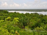 Pohled na deštný prales v Belize