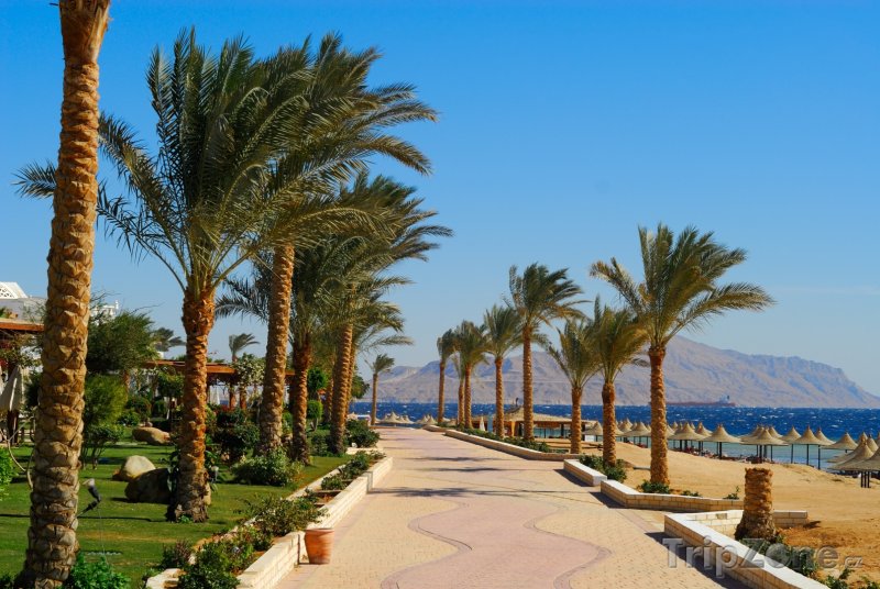 Fotka, Foto Promenáda podél pláže (Sharm El Sheikh, Egypt)