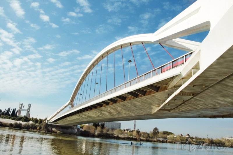 Fotka, Foto Sevilla - Puente de la Barqueta (Sevilla, Španělsko)