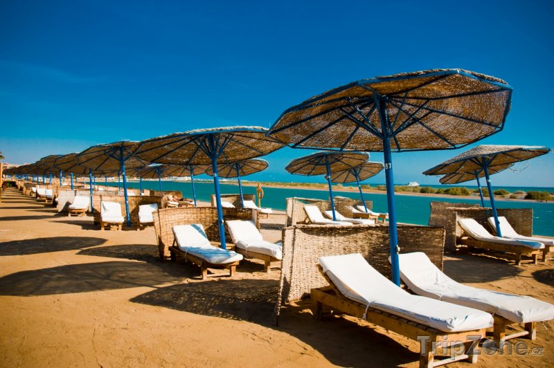 Fotka, Foto Slunečníky a lehátka na pláži rezortu El Gouna (Východní pobřeží, Egypt)