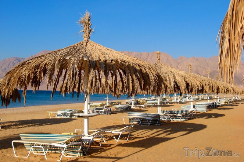 Fotka, Foto Slunečníky a lehátka na pláži rezortu Nuweiba (Sinaj, Egypt)