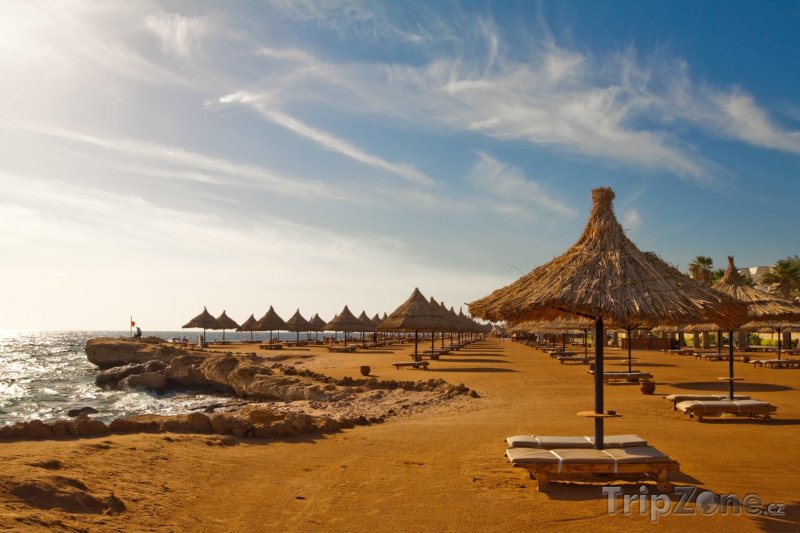Fotka, Foto Slunečníky na pláži (Sharm El Sheikh, Egypt)
