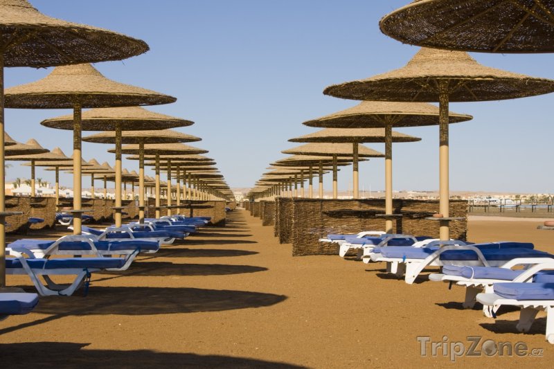 Fotka, Foto Slunenčíky a lehátka na pláži (Hurghada, Egypt)