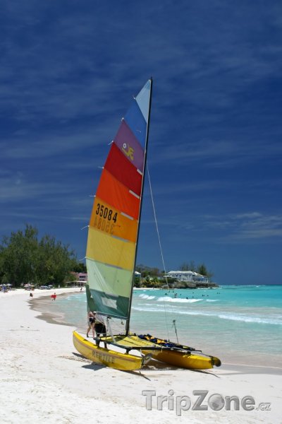 Fotka, Foto Windsurf na pláži v Christ Church (Barbados)