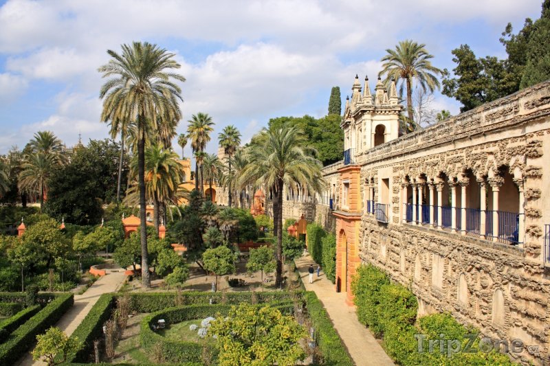 Fotka, Foto Zahrady u paláce Alcazar (Sevilla, Španělsko)