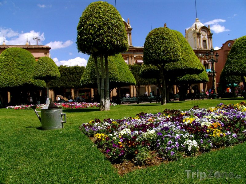 Fotka, Foto Zahrady vedle náměstí Zócalo (Mexico City, Mexiko)