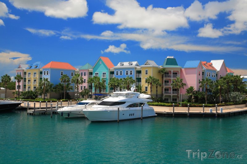 Fotka, Foto Zakotvené jachty u Paradise Island (Bahamy)