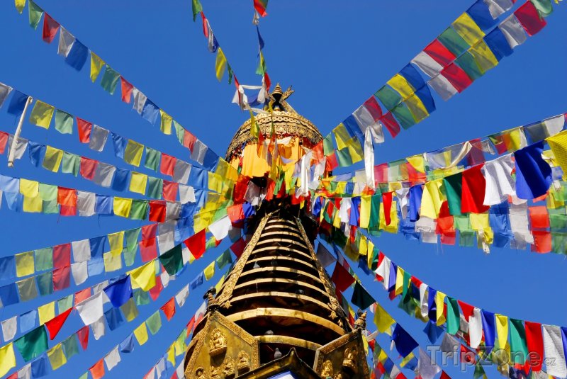 Fotka, Foto Buddhistická stúpa ve městě Káthmándú (Nepál)