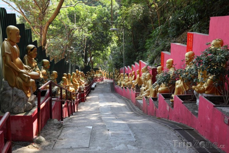 Fotka, Foto Chrám 10 000 Buddhů (Hongkong)