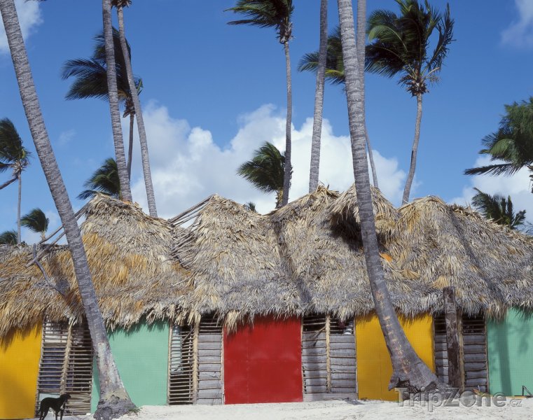 Fotka, Foto Chýše v Punta Cana (Dominikánská republika)