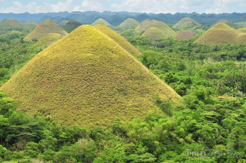 Fotka, Foto Čokoládové kopce (Filipíny)