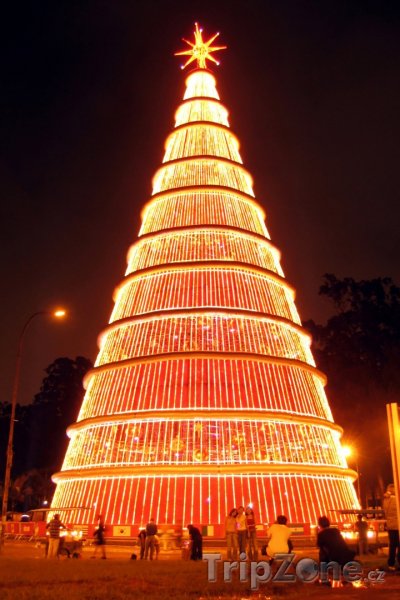 Fotka, Foto Gigantický vánoční strom (Sao Paulo, Brazílie)